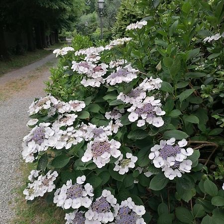 Lavanda Appartamento Vigliano Biellese 외부 사진