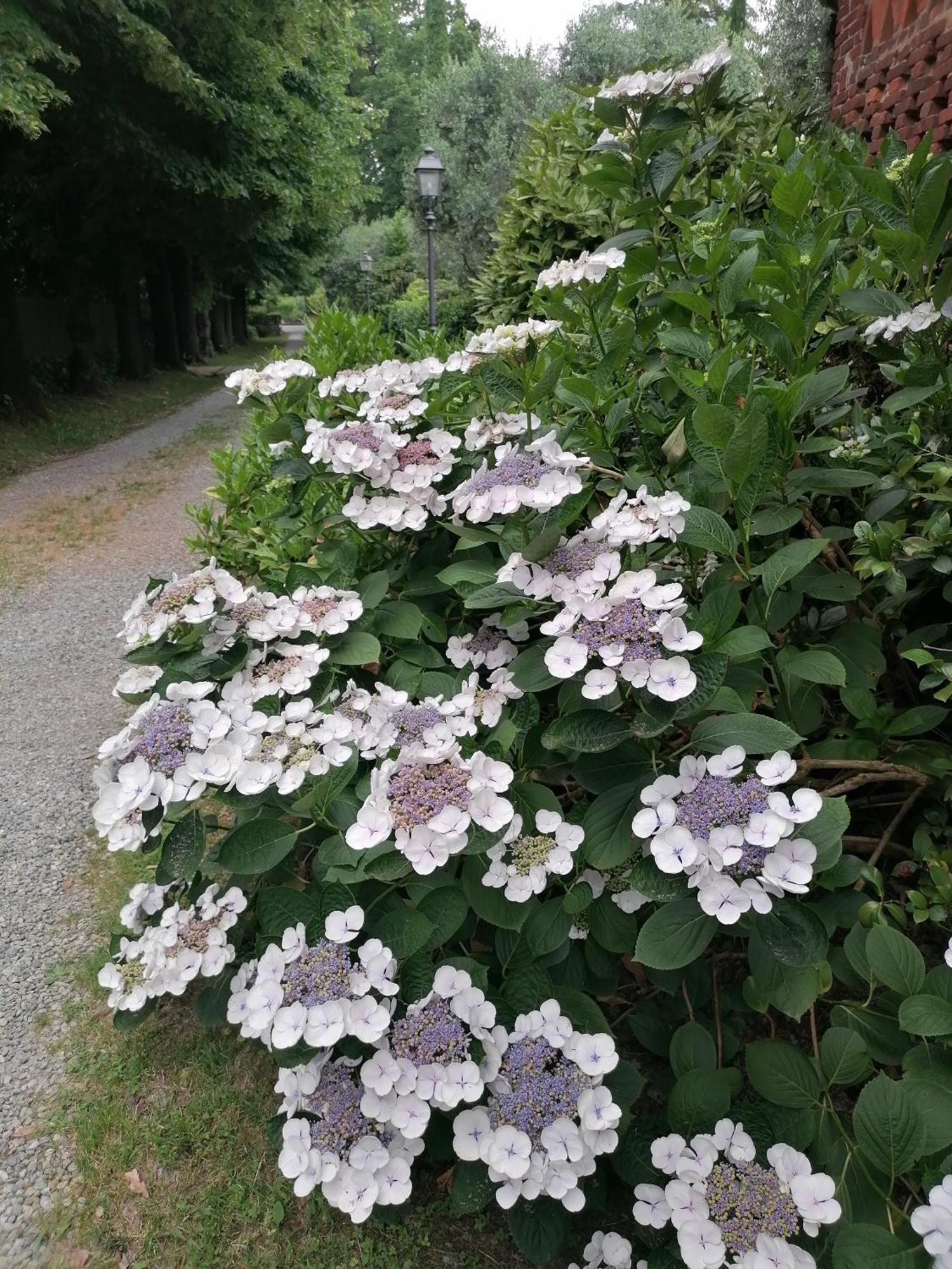 Lavanda Appartamento Vigliano Biellese 외부 사진